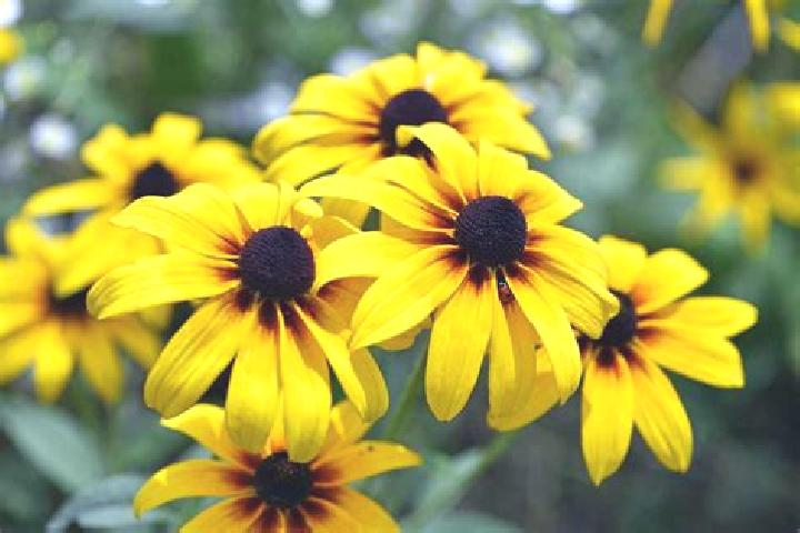 Naomi, 39, a black green-eyed mixed companion based in Kelvin Grove. Offering Duos, Dinner Date, 69, A-Level, Prostate Massage. Available for incall and outc...