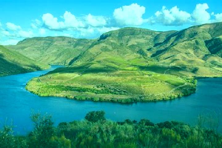 Naomi, 39, a red grey-eyed european companion based in Olivares de Duero. Offering A-Level, GFE, Couples, Party Girl. Available for incall and outcall, day a...
