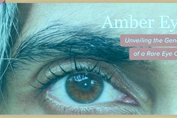 Natalie, 20, a red amber-eyed caucasian companion based in Tuffe. Offering Fetish, A-Level, CIM, Travel Companion, Erotic Massage. Available for incall and o...