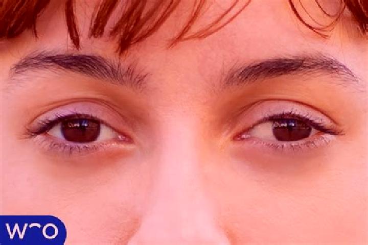 Natalie, 20, a red brown-eyed indian companion based in Collofedo di Monte Albano. Offering Party Girl, CIM, GFE, Dinner Date, OWO. Available for incall and ...