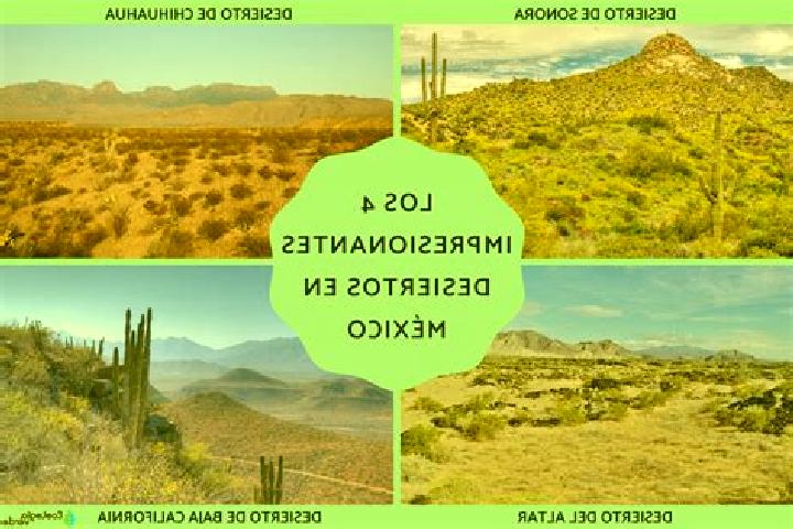 Natalie, 20 — Escort in El Desierto, Mexico