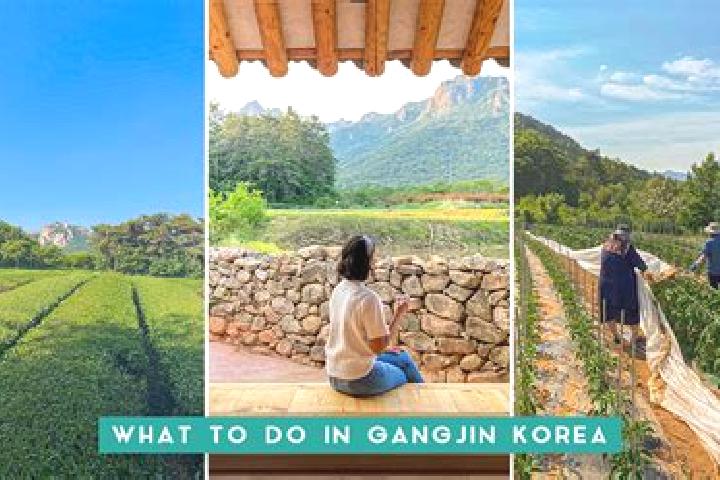 Natalie, 21 — Escort in Gangjin, South Korea