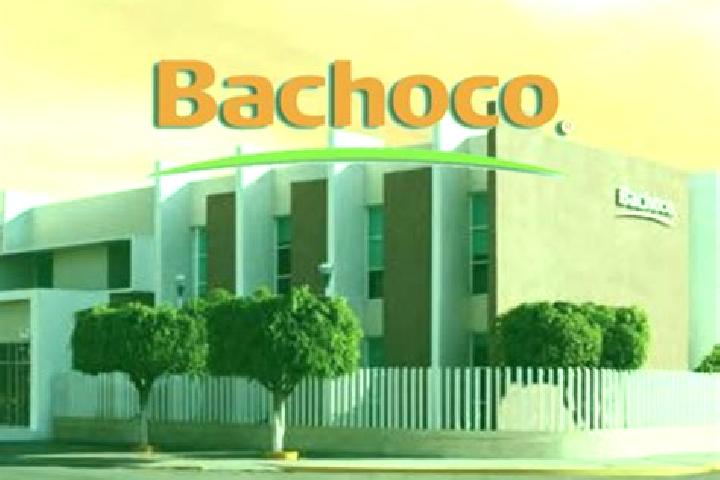 Natalie, 22 — Escort in Bachoco, Mexico