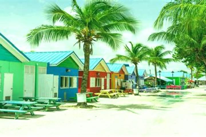 Natalie, 22 — Escort in Blackmans, Barbados