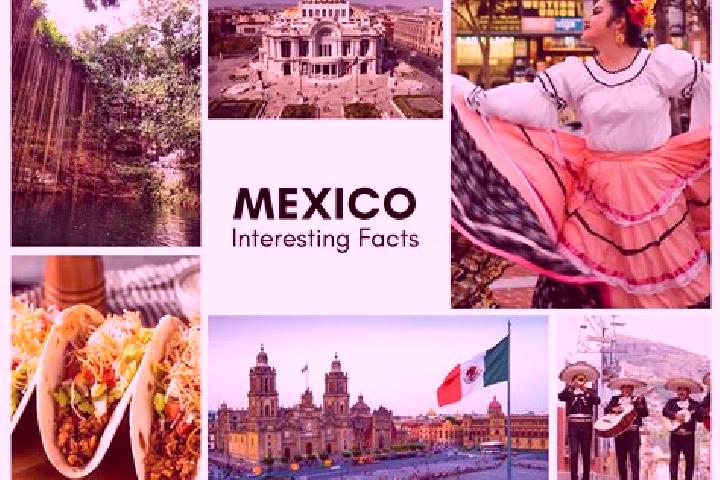 Natalie, 22 — Escort in Milpoleta, Mexico