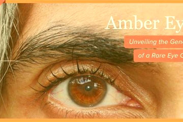 Natalie, 23, a red amber-eyed ebony companion based in Hattingen. Offering Overnight, BDSM. Available for incall and outcall, day and evening dates.