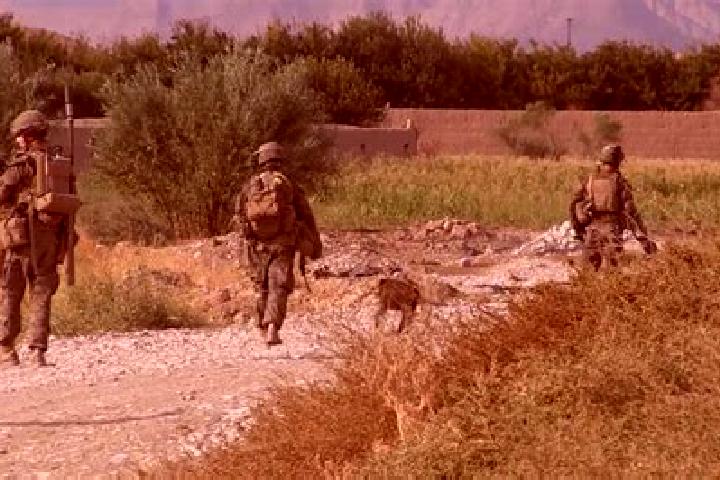 Natalie, 23 — Escort in Sangin, Afghanistan
