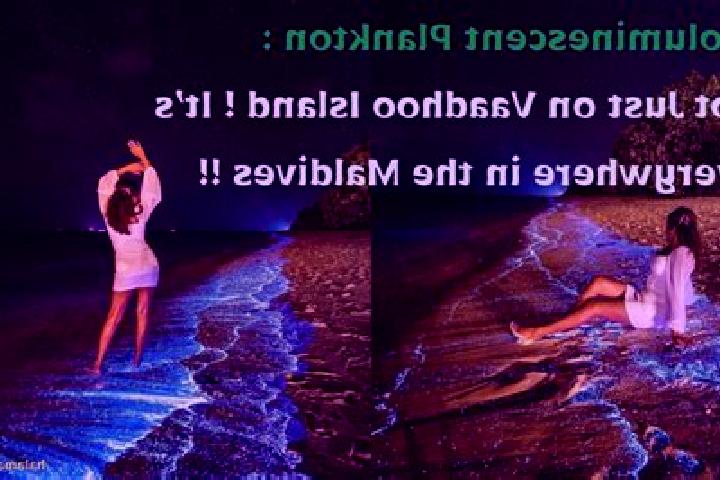 Natalie, 23 — Escort in Vaadhoo, Maldives