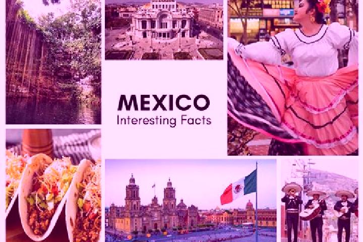 Natalie, 24 — Escort in Chintipan, Mexico