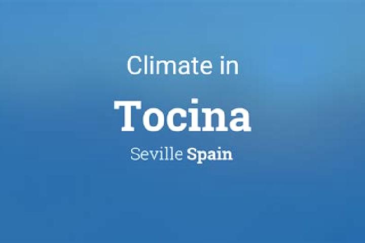 Natalie, 24 — Escort in Tocina, Spain