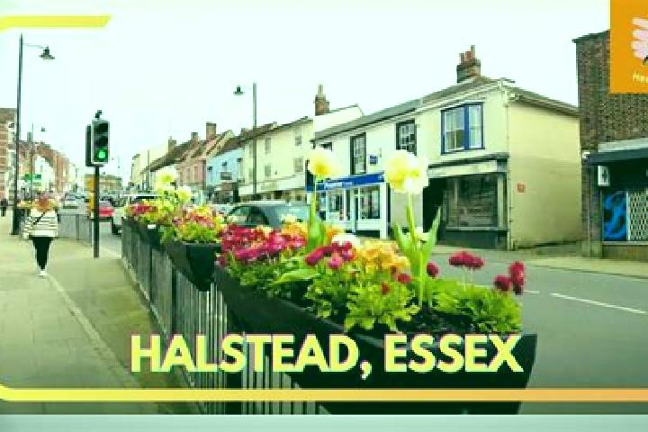 Natalie, 25 — Escort in Halstead, United Kingdom