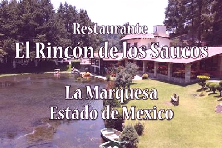 Natalie, 25 — Escort in Rincon de los Reyes, Mexico