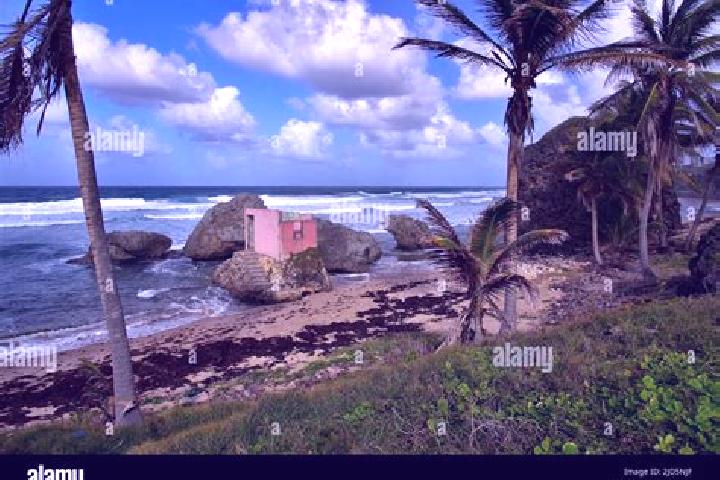 Natalie, 26 — Escort in Bathsheba, Barbados