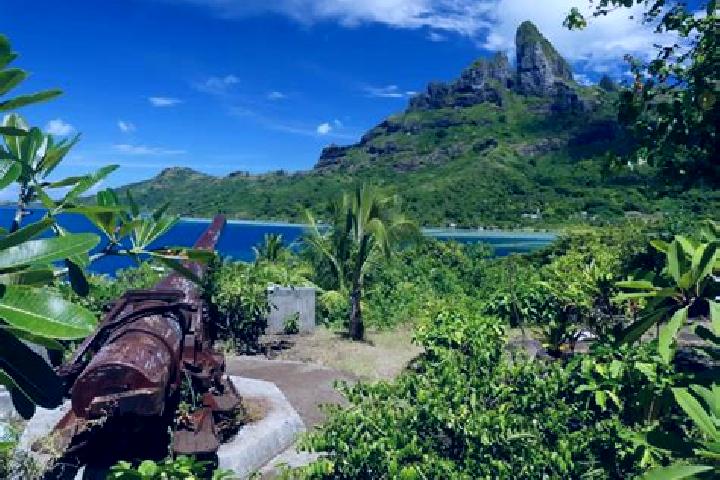 Natalie, 26 — Escort in Hitiaa, French Polynesia