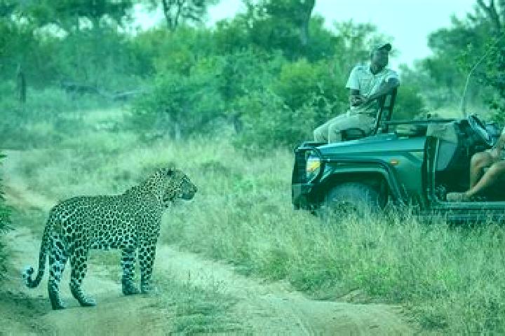 Natalie, 26 — Escort in Sabi-Sand Game Reserve, South Africa
