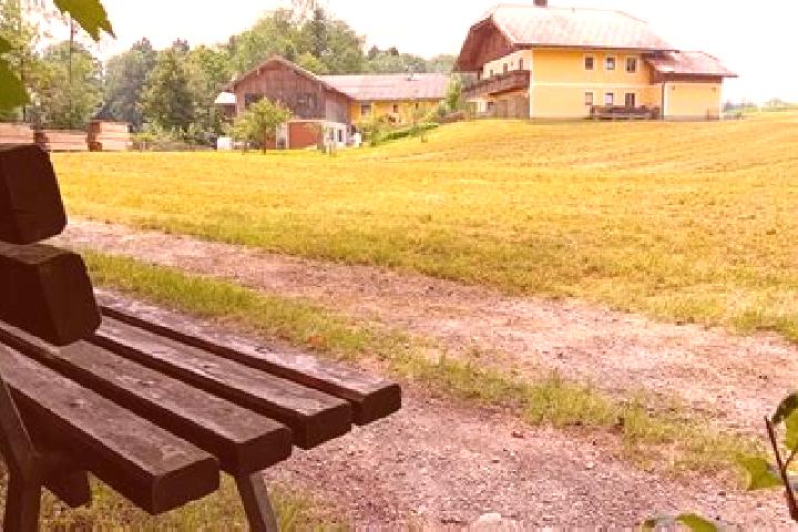 Natalie, 27 — Escort in Eugendorf, Austria