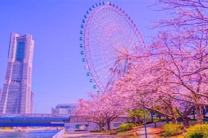 Natalie, 27 — Escort in Minatomirai, Japan