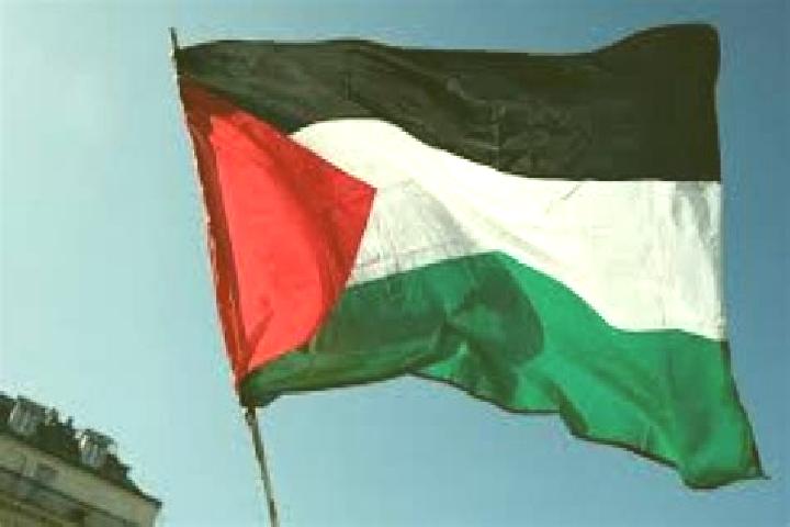Natalie, 28 — Escort in Az Zababidah, Palestine