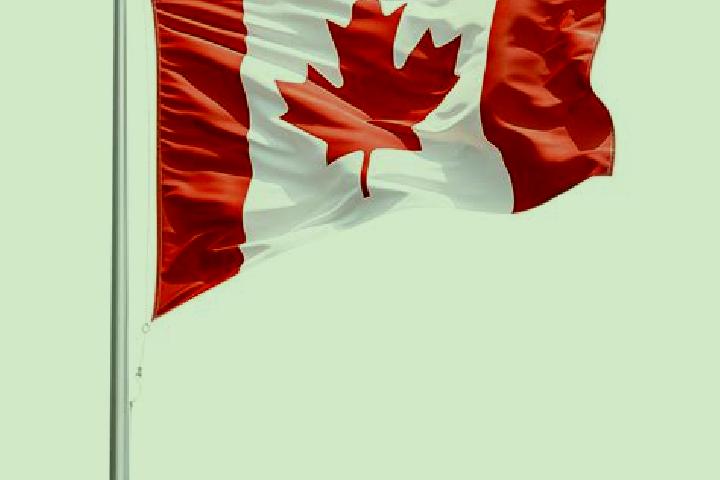 Natalie, 28 — Escort in Gellatly, Canada