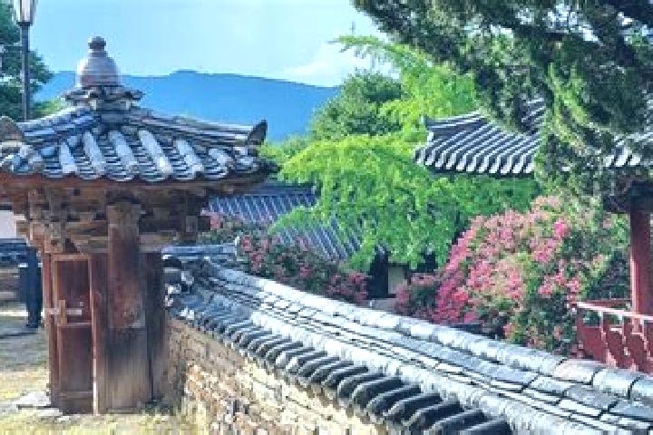 Natalie, 30 — Escort in Dodong-ri, South Korea