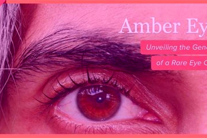 Natalie, 31, a red amber-eyed indian companion based in Vasyliv. Offering Dinner Date, Striptease, 69, Duos. Available for incall and outcall, day and evenin...