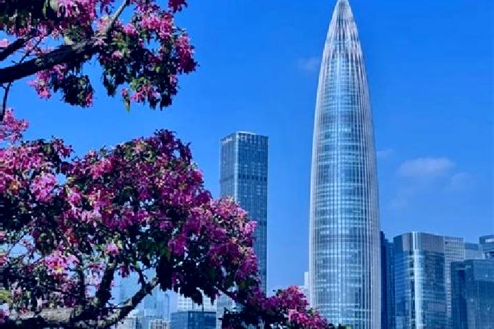 Natalie, 31 — Escort in Shenzhen, Taiwan
