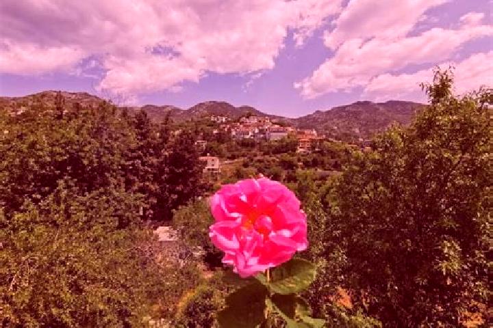 Natalie, 32 — Escort in Agros, Cyprus