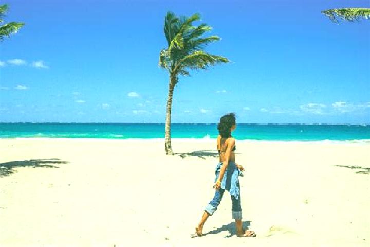 Natalie, 34 — Escort in La Playa, Puerto Rico