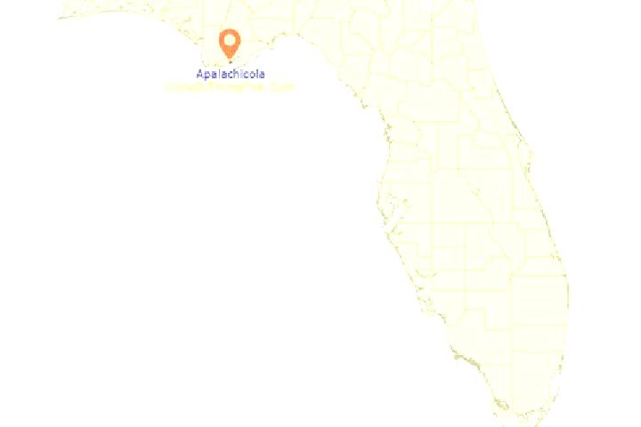 Natalie, 35 — Escort in Apalachicola, United States