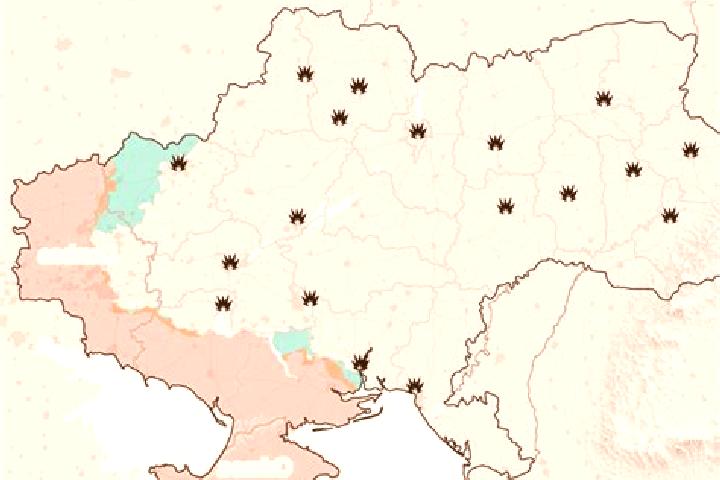 Natalie, 36 — Escort in Lypove, Ukraine