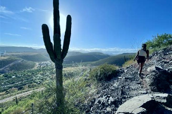 Natalie, 37 — Escort in Cerro de Leon, Mexico