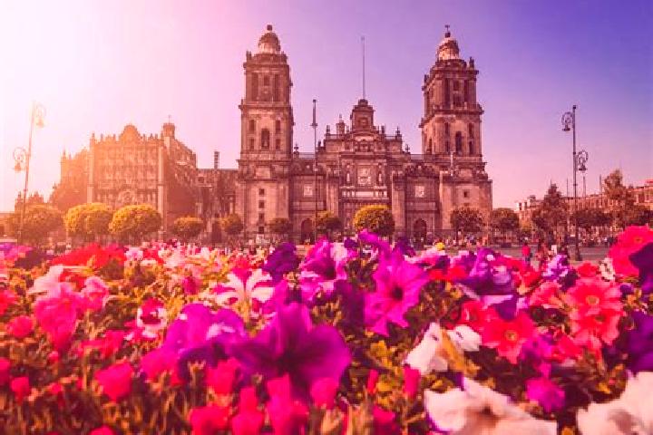 Natalie, 37 — Escort in Ciudad Cuauhtemoc, Mexico