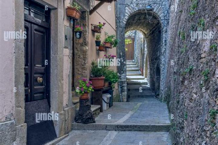 Natalie, 37 — Escort in Percile, Italy