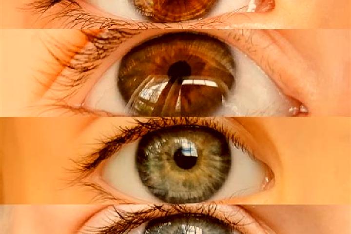 Natalie, 38, a chestnut hazel-eyed caucasian companion based in Fressain. Offering Domination, Fetish, Girlfriend Experience, A-Level. Available for incall a...