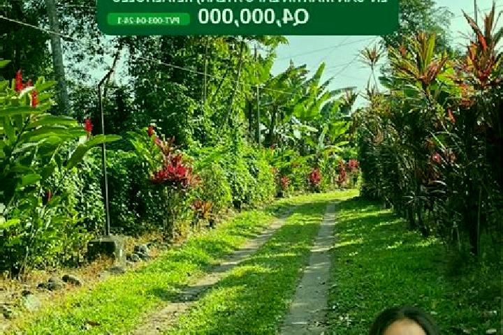 Natalie, 38 — Escort in San Martin Zapotitlan, Guatemala