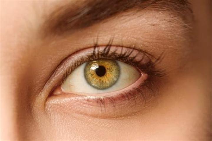 Natalie, 39, a chestnut hazel-eyed mixed companion based in Tierras Coloradas. Offering GFE, Couples, OWO, Domination, Dinner Date. Available for incall and ...