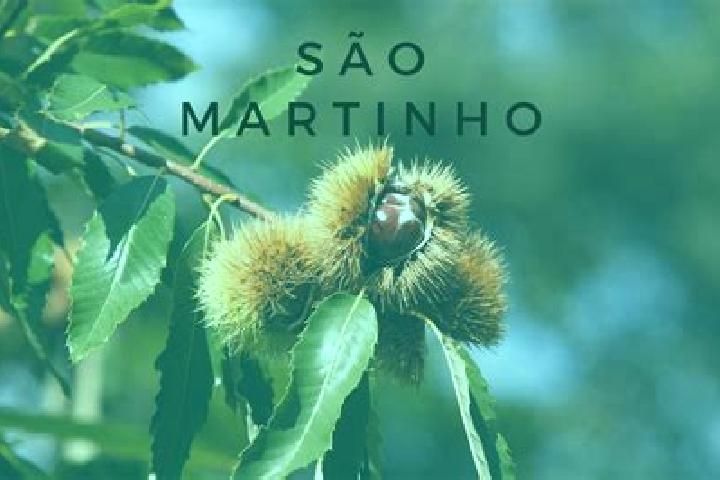Nora, 20 — Escort in Frei Martinho, Brazil