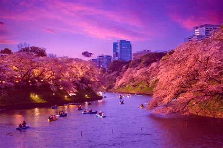 Nora, 20 — Escort in Komagome, Japan