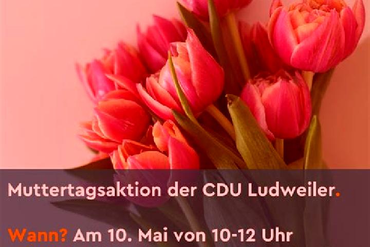 Nora, 20 — Escort in Ludweiler-Warndt, Germany