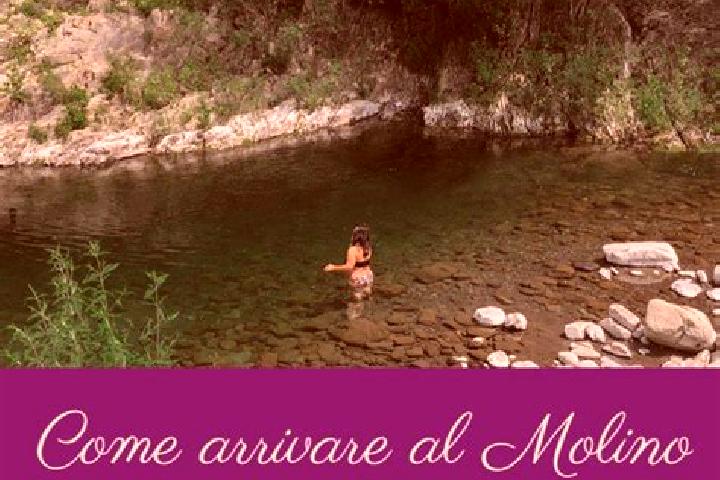 Nora, 20 — Escort in Molino del Pallone, Italy