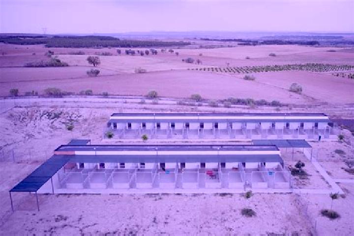 Nora, 20 — Escort in Nuevo Refugio de Afuera (Nuevo Refugio), Mexico