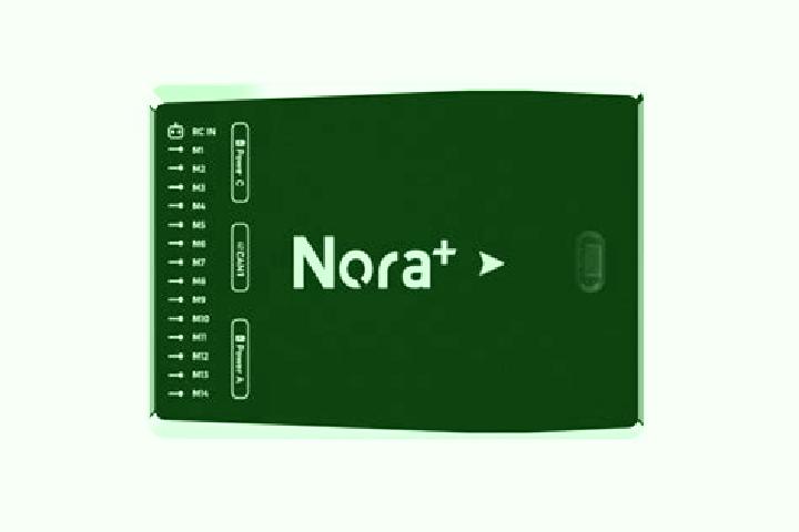 Nora, 20 — Escort in Pouch, Germany