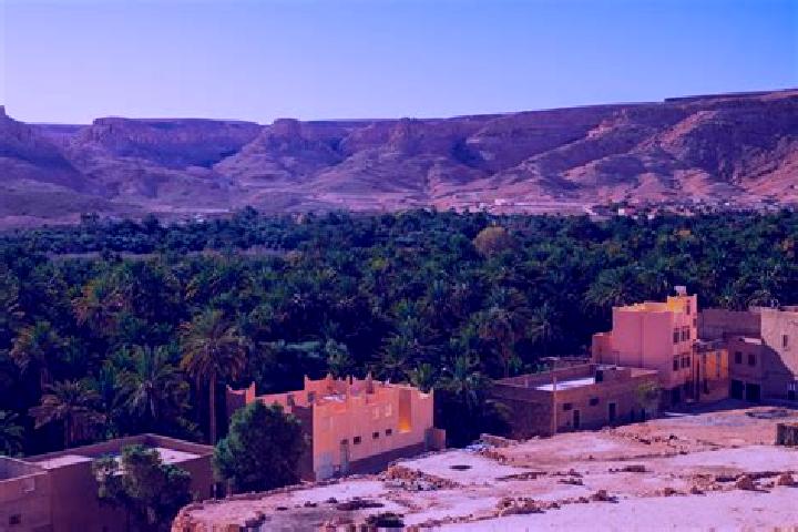 Nora, 20 — Escort in Zagora, Morocco