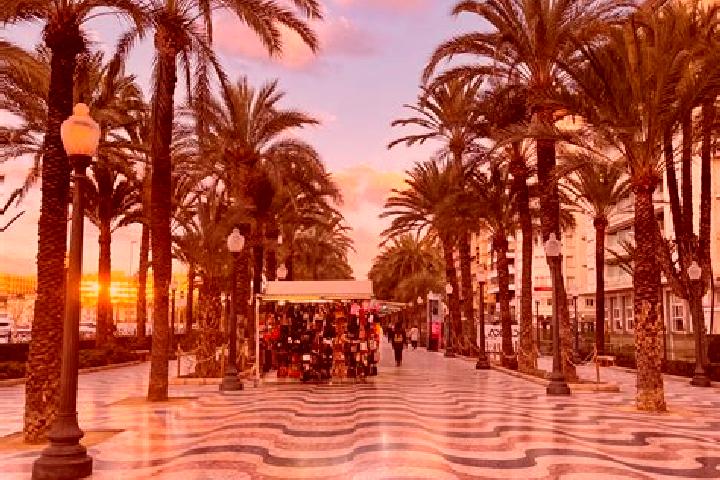 Nora, 21 — Escort in Alicante, Spain