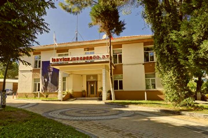 Nora, 21 — Escort in Goekoglan, Turkey