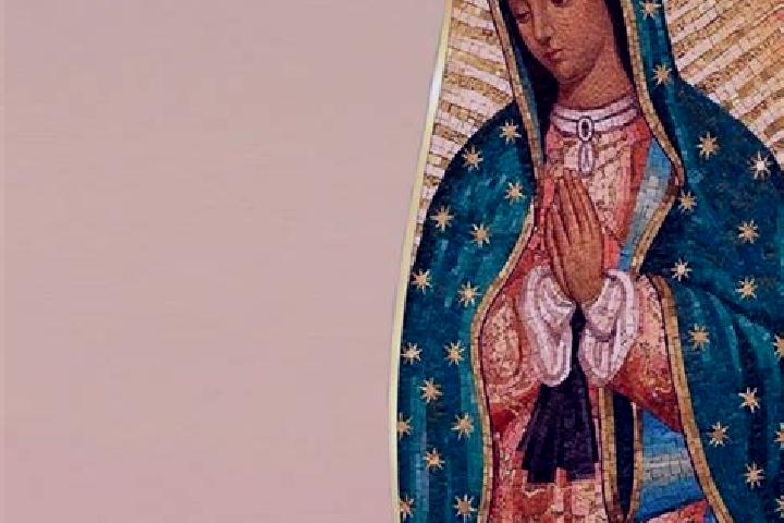 Nora, 21 — Escort in Guadalupe Libertad, Mexico
