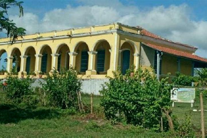 Nora, 21 — Escort in Guaimaro, Cuba