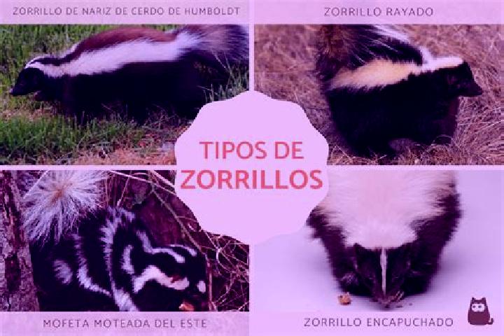 Nora, 21 — Escort in Los Reyes (Zorrillos), Mexico