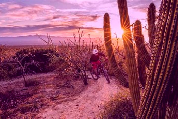 Nora, 21 — Escort in Rancho Cuachixolotera, Mexico