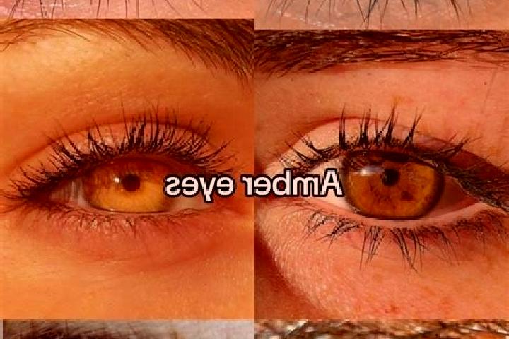 Nora, 22, a chestnut amber-eyed caucasian companion based in Zebulon. Offering Tantra, BDSM, A-Level, Striptease. Available for incall and outcall, day and e...